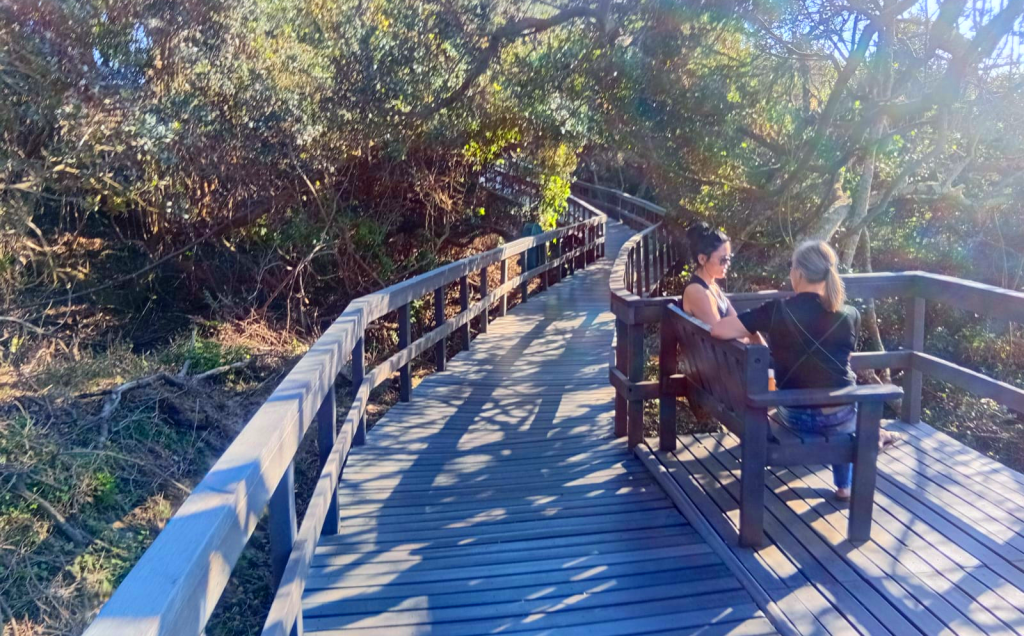 Discover Nature at Umhlanga Lagoon Nature Reserve