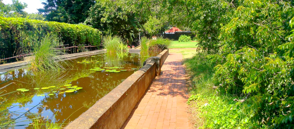 Durban Botanic Gardens: A Nature Lover’s Paradise