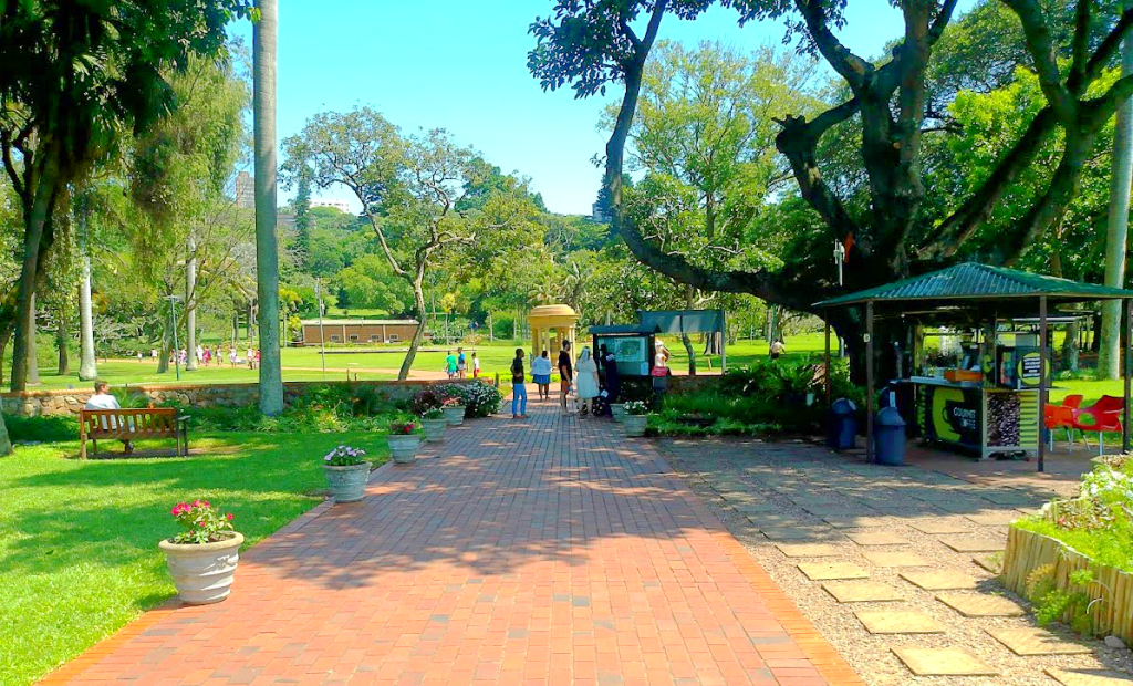 Durban Botanic Gardens: A Nature Lover’s Paradise
